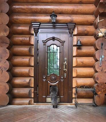 Дверь с капителями и окошком для животных